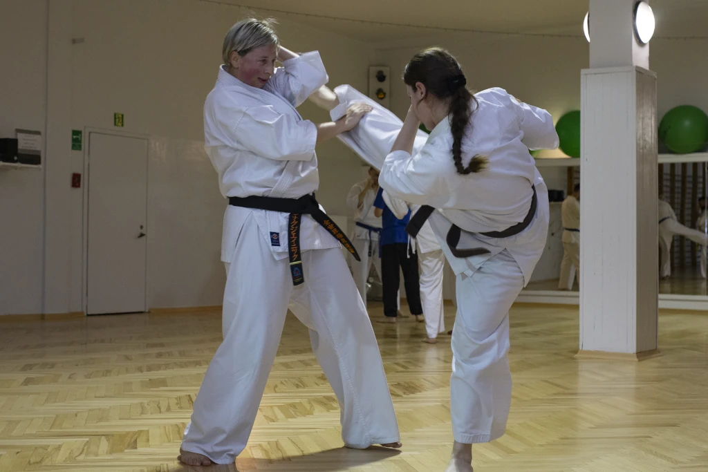 Zdjęcie grupowe z XI Seminarium Kumite w Żorach, 2025