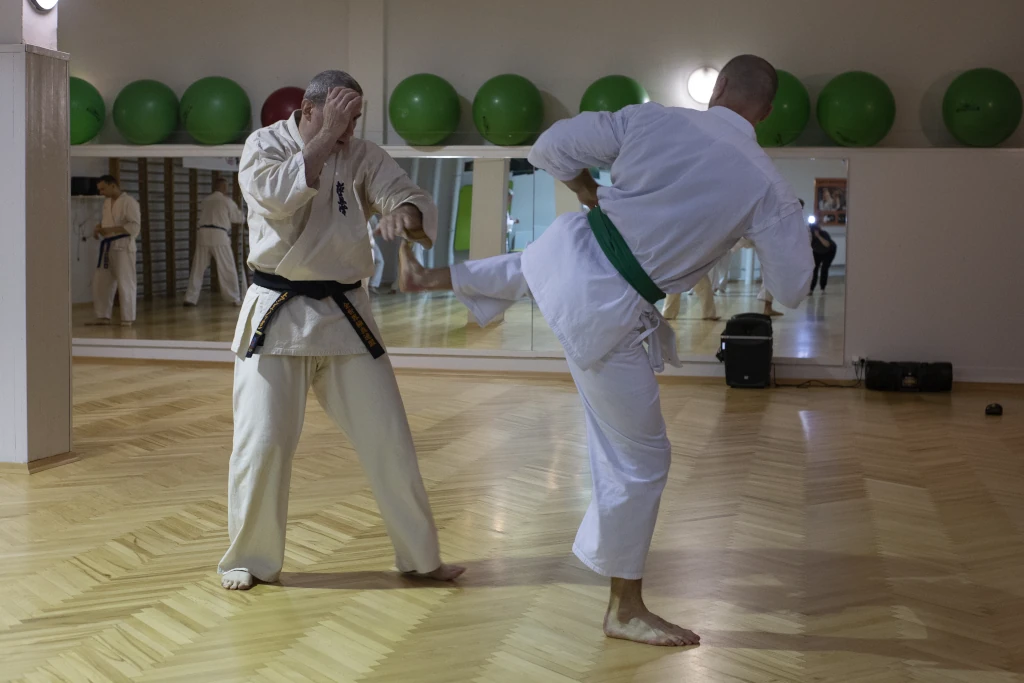 Zdjęcie grupowe z XI Seminarium Kumite w Żorach, 2025