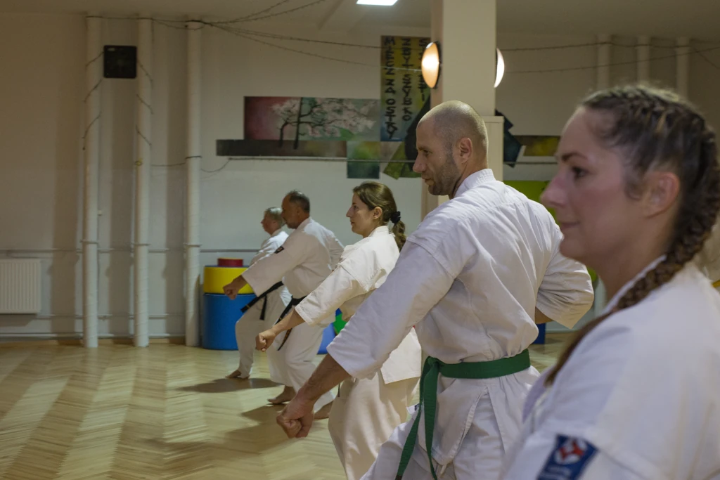 Zdjęcie grupowe z XI Seminarium Kumite w Żorach, 2025